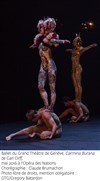 Ballet du Grand Théâtre de Genève, Carl Orff et Claude Brumachon - Théâtre Paul Eluard