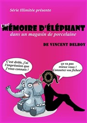 Une mémoire d'éléphant dans un magasin de porcelaine Thtre Bellecour Affiche