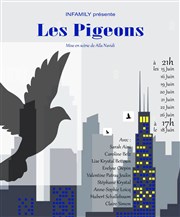 Les Pigeons Thtre du Gouvernail Affiche