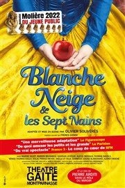 Blanche Neige et les sept nains Gait Montparnasse Affiche