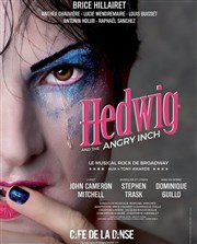 Hedwig and the Angry Inch Caf de la Danse Affiche
