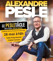 Alexandre Pesle dans Le Pesletâcle Salle des ftes de Chtel Censoir Affiche