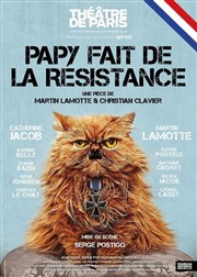 Papy fait de la résistance | avec Catherine Jacob et Martin Lamotte Thtre de Paris - Grande Salle Affiche